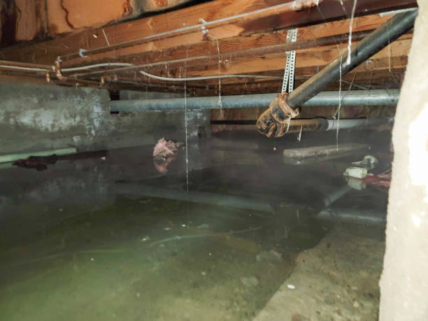  Middle Valley, TN Water damage restoration Pros