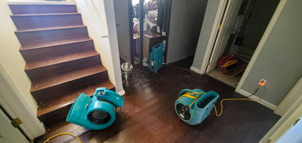 Best Local water damage restoration  in Middle Valley, TN