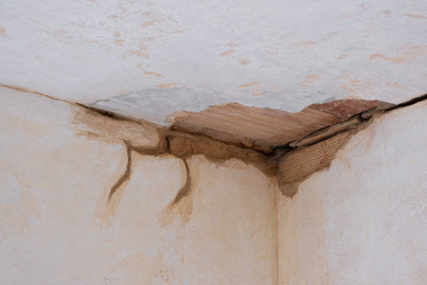Best Flood restoration services  in Middle Valley, TN