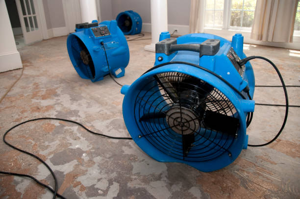 Best Local water damage restoration  in Middle Valley, TN