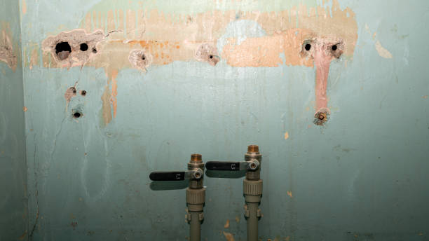 Best Water damage cleanup near me  in Middle Valley, TN