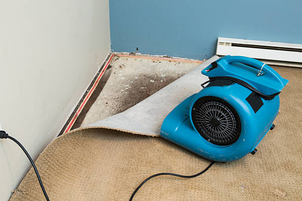 Best Sewage cleanup and water damage restoration  in Middle Valley, TN
